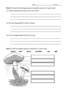 Fungi Quiz By Middle School HELP Teachers Pay Teachers