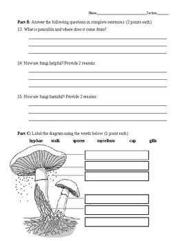 Fungi Quiz By Middle School HELP Teachers Pay Teachers