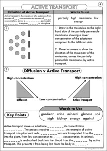 GCSE Biology Diffusion Osmosis And Active Transport Worksheet Pack