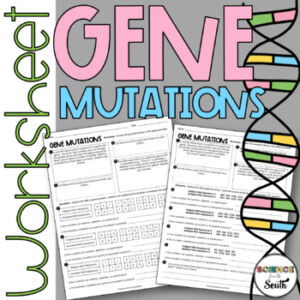 Gene Mutations Worksheet For Identifying Insertions Substitutions And
