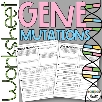 Gene Mutations Worksheet For Identifying Insertions Substitutions And 
