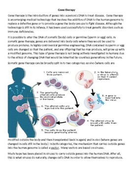 GENE THERAPY WORKSHEET GENETICS By GKatzChronicle TpT