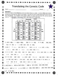 Genetic Chart Worksheet