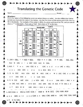 Genetic Chart Worksheet