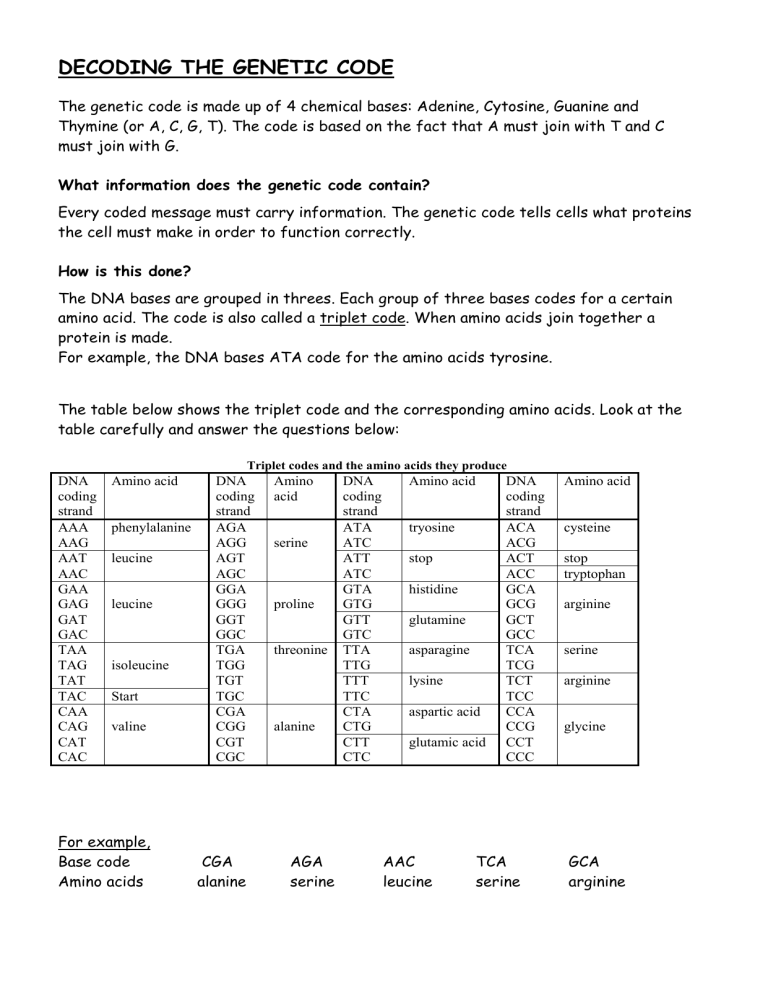 Genetic Chart Worksheet Key