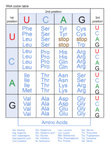 Genetic Code