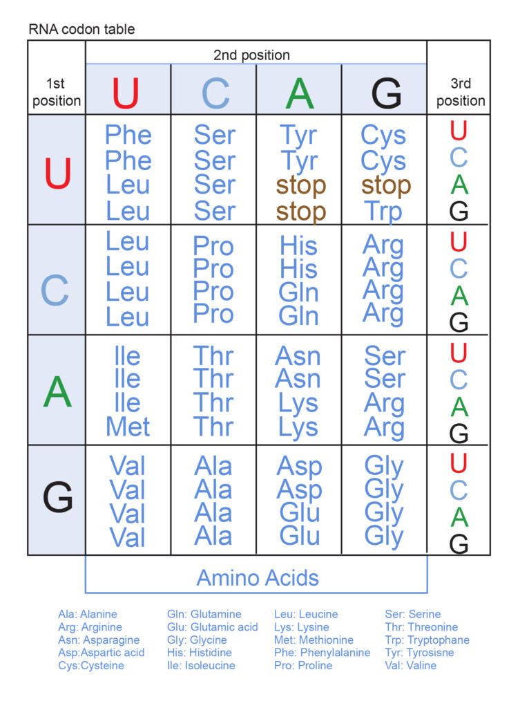 Genetic Code