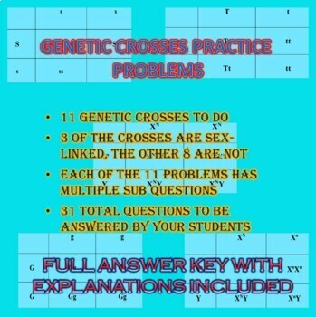 Genetic Crosses Practice Problems Worksheet Punnett Squares And 