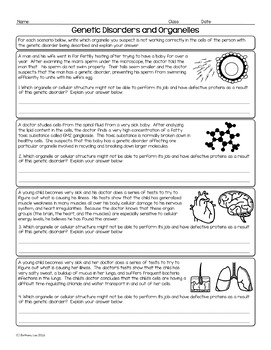 Genetic Disorders And Organelles Biology Homework Worksheet TPT