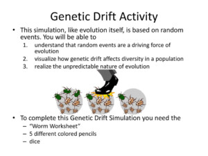 Genetic Drift Activity Ppt Download