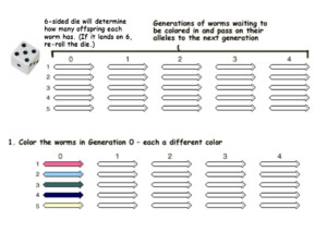 Genetic Drift Activity Ppt Video Online Download