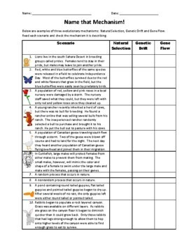 Genetic Drift Gene Flow And Natural Selection Scenarios Worksheet