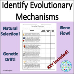 Genetic Drift Gene Flow And Natural Selection Scenarios Worksheet
