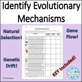 Genetic Drift Gene Flow And Natural Selection Scenarios Worksheet