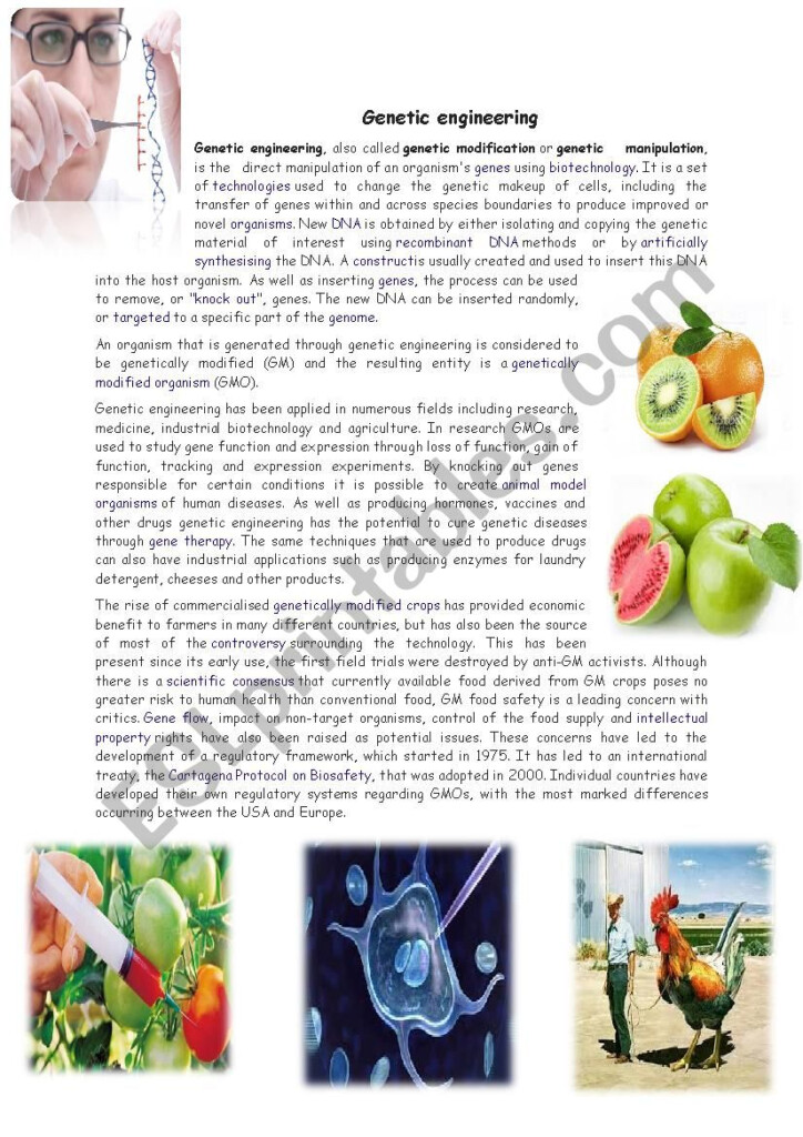Genetic Engineering ESL Worksheet By Fefa101