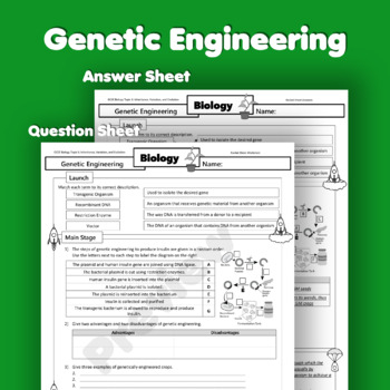Genetic Engineering Home Learning Worksheet By Rocket Sheets TPT