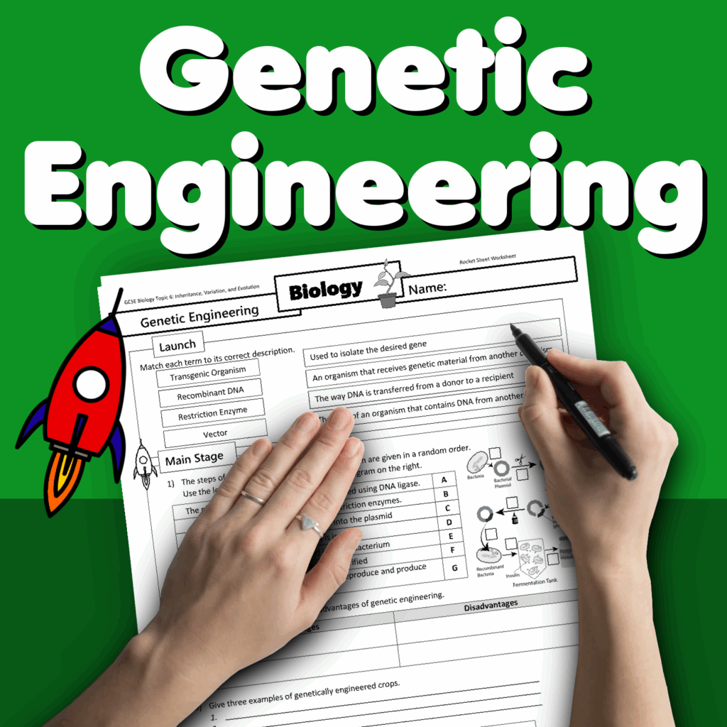 Genetic Engineering Home Learning Worksheet GCSE Rocketsheets co uk