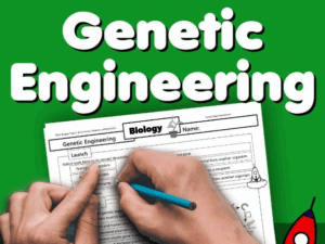 Genetic Engineering Home Learning Worksheet GCSE Teaching Resources