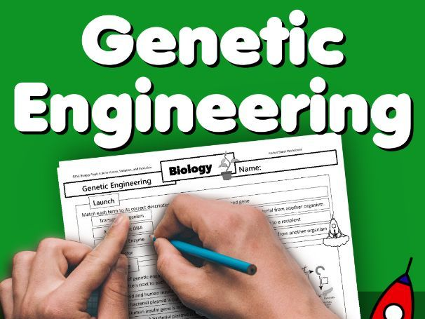 Genetic Engineering Home Learning Worksheet GCSE Teaching Resources