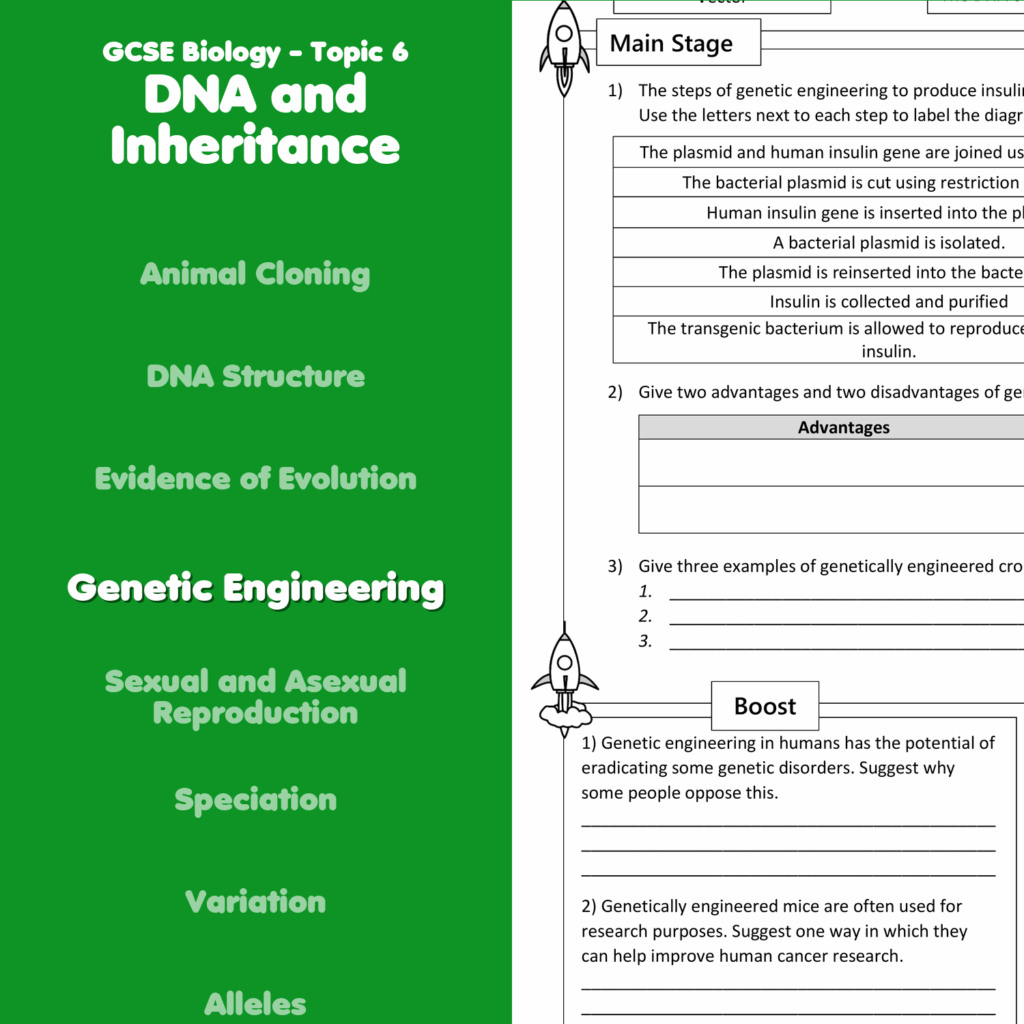 Genetic Engineering Home Learning Worksheet GCSE Teaching Resources
