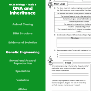 Genetic Engineering Home Learning Worksheet GCSE Teaching Resources