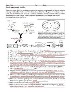 Genetic Engineering Insulin Worksheet By Briana Ransom TPT