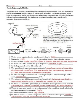 Genetic Engineering Insulin Worksheet By Briana Ransom TPT