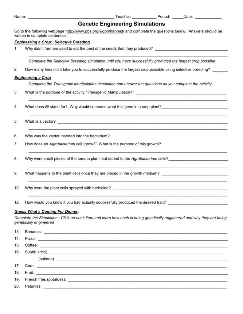 Genetic Engineering Simulations Worksheet Answers Db excel