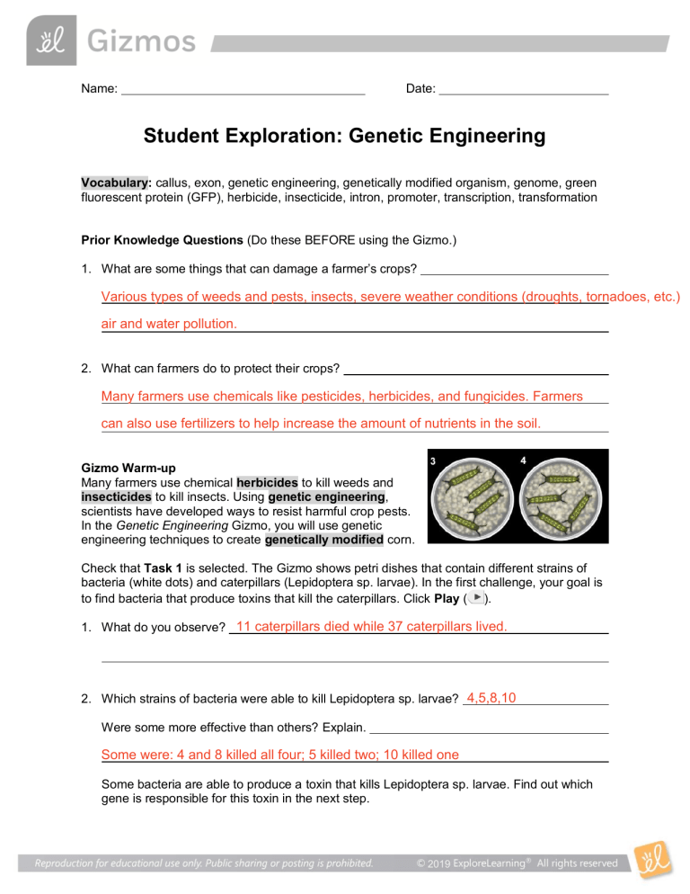 Genetic Engineering Student Exploration Worksheet