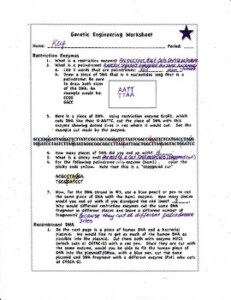 Genetic Engineering Worksheet By Biology Buff Teachers Pay Teachers