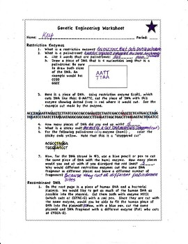 Genetic Engineering Worksheet By Biology Buff Teachers Pay Teachers