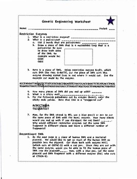 Genetic Engineering Worksheet By Biology Buff TPT