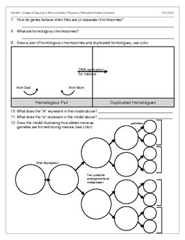 Genetic Linkage Mapping Recombination Frequency Webquest LS3 2