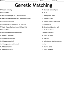 Genetic Matching Worksheet WordMint