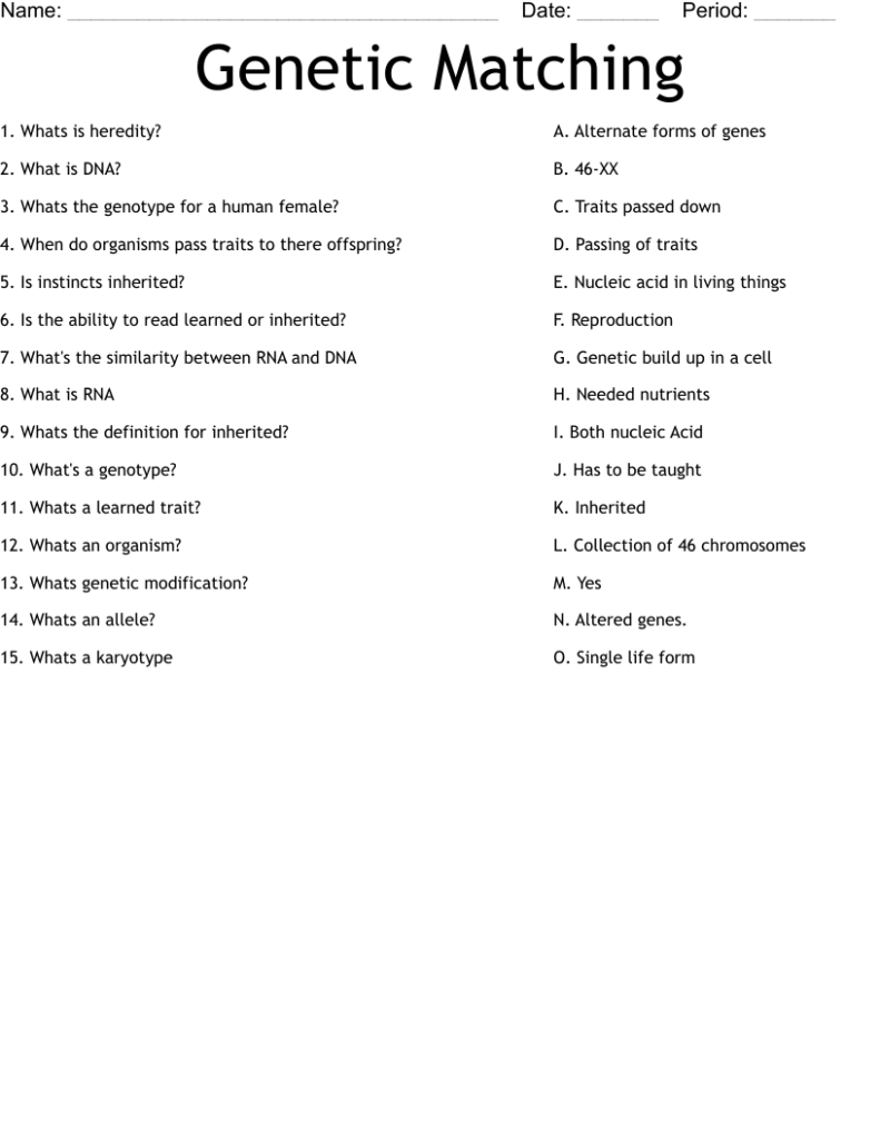 Genetic Matching Worksheet WordMint