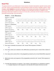 Genetic Mutation Pogil Answer Key Pdf