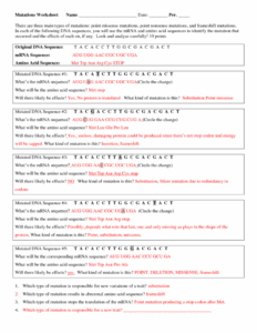Genetic Mutation Worksheet Answer Key Pogil Handicraftsism