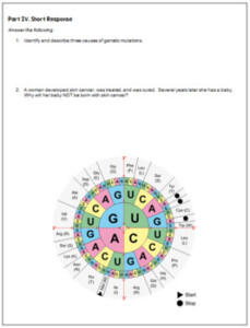 Genetic Mutations And Disorders Review Worksheets Quiz TPT