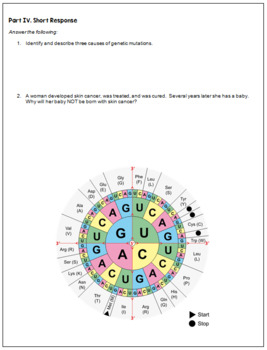 Genetic Mutations And Disorders Review Worksheets Quiz TPT