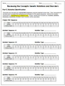 Genetic Mutations And Disorders Review Worksheets Quiz TPT