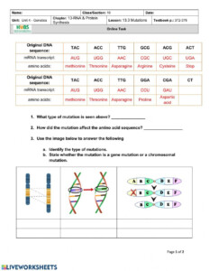 Genetic Mutations Worksheet Answer Key In 2023 Practices Worksheets