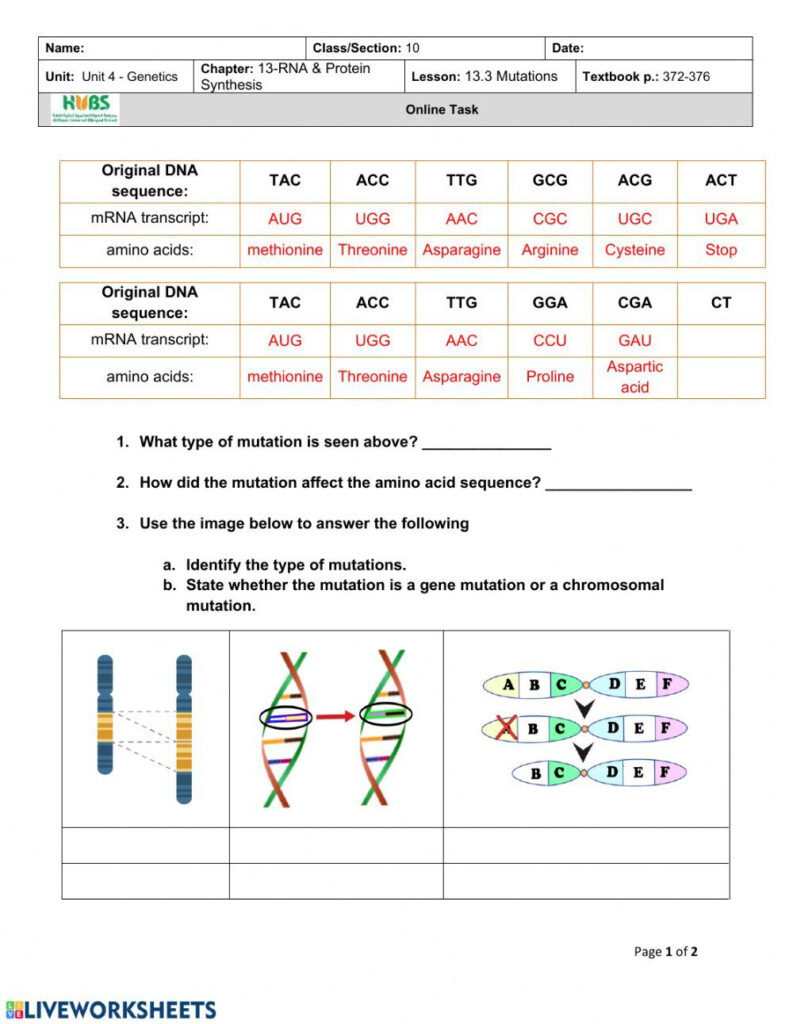 Genetic Mutations Worksheet Answer Key In 2023 Practices Worksheets 