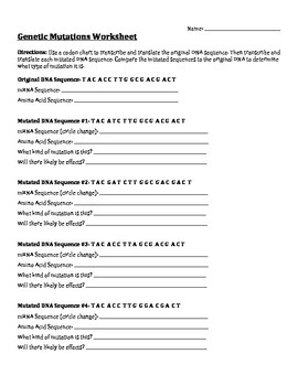 Genetic Mutations Worksheet By LSMscience TPT