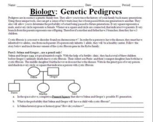 Genetic Pedigree PowerPoint And Cystic Fibrosis Worksheet By Beverly