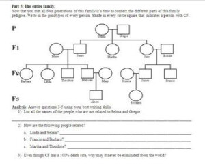 Genetic Pedigree PowerPoint And Cystic Fibrosis Worksheet By Beverly