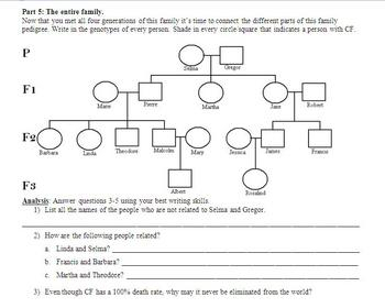 Genetic Pedigree PowerPoint And Cystic Fibrosis Worksheet By Beverly
