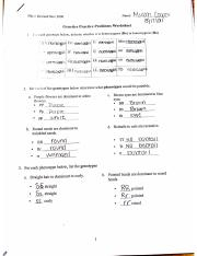 Genetic Practice Problems Worksheet Copy pdf Name Bio 1 Revised 