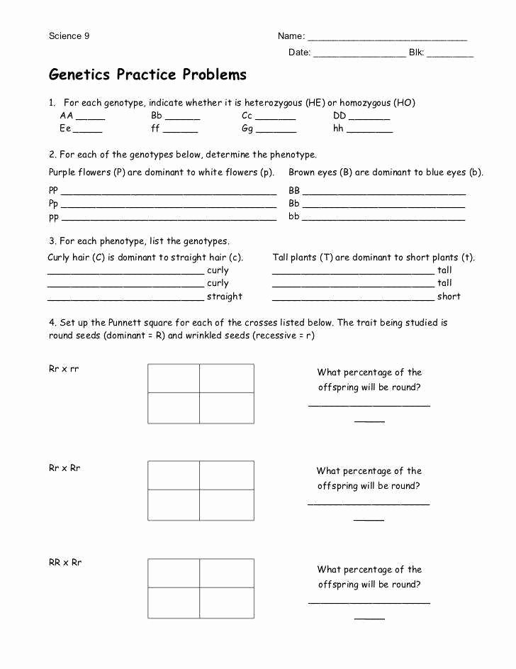 Genetic Problems Worksheet 1 Answers