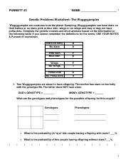 Genetic Problems Worksheet The Wuggygumples Predicting Course Hero