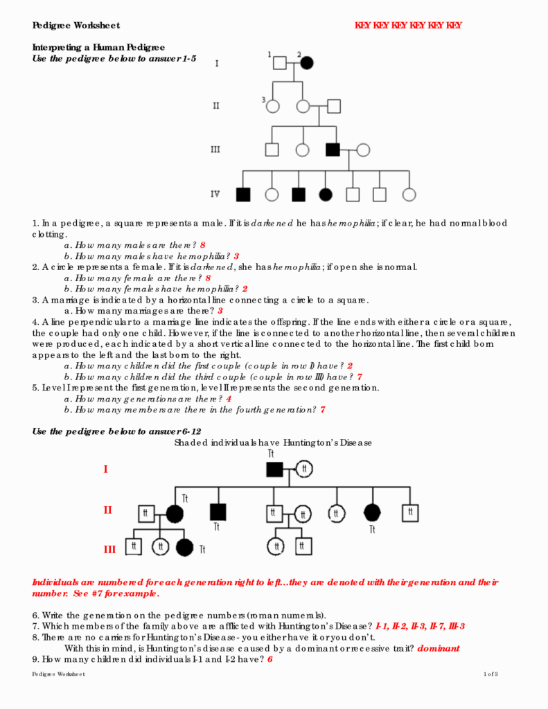 Genetic Problems Worksheets